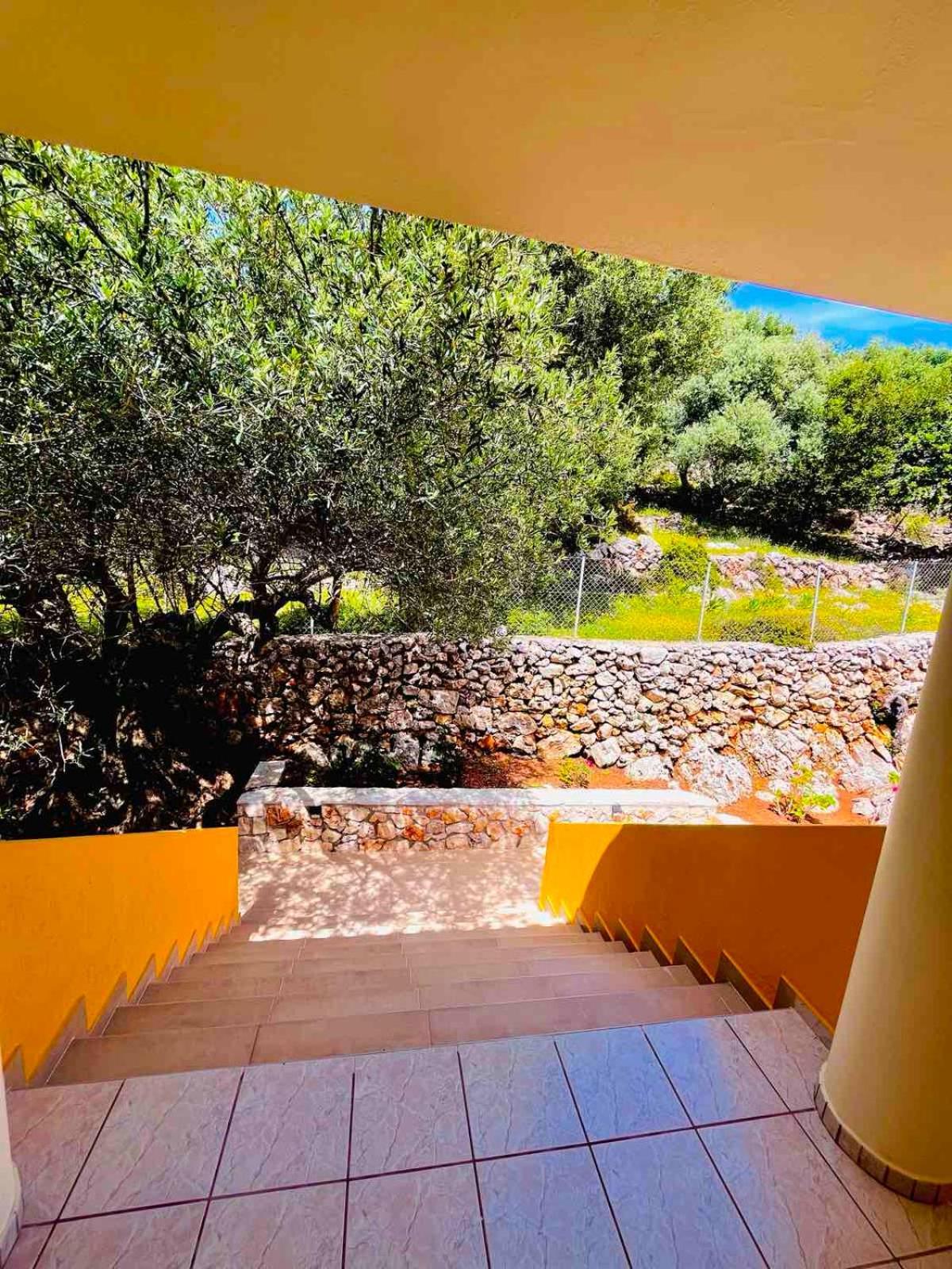 Asteras Studios Argostoli (Kefalonia) Exterior foto