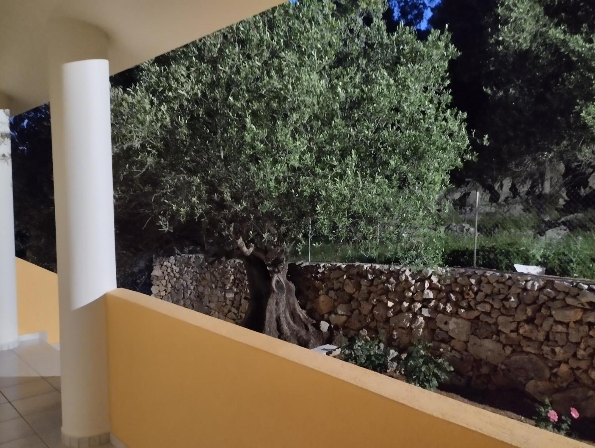 Asteras Studios Argostoli (Kefalonia) Exterior foto