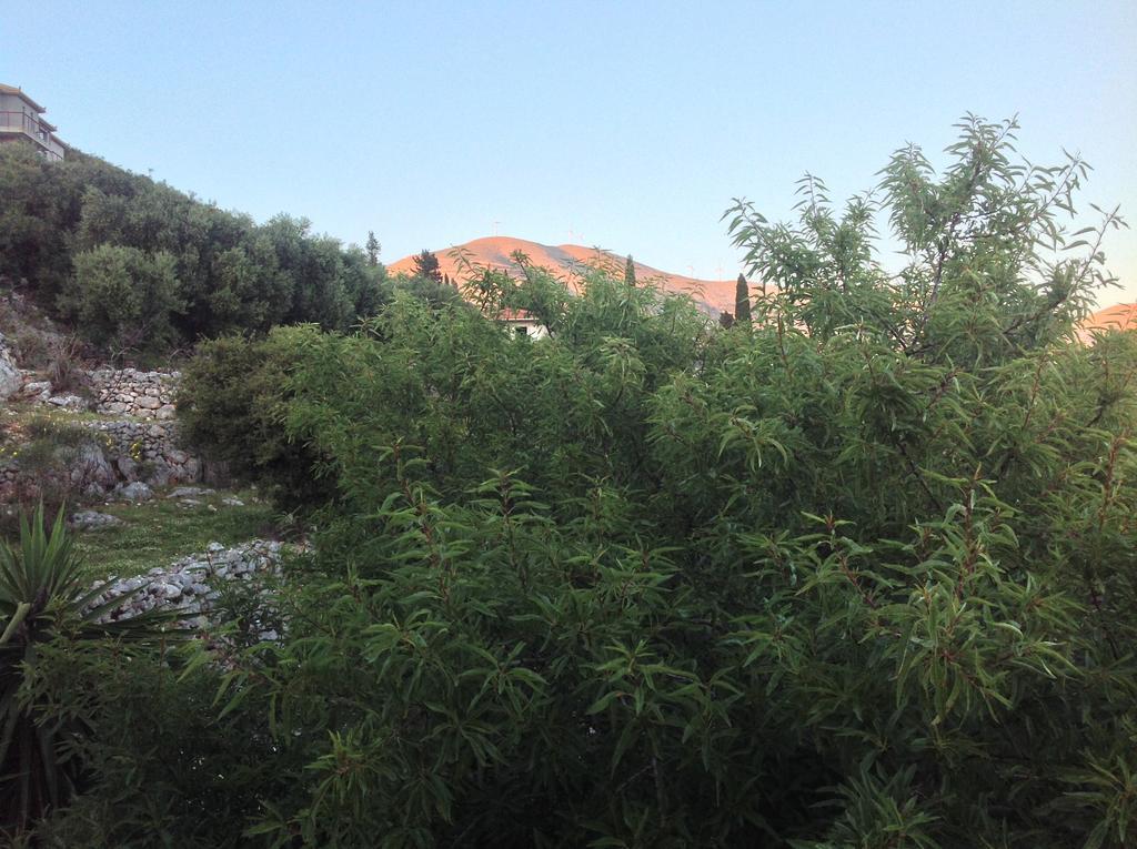 Asteras Studios Argostoli (Kefalonia) Exterior foto